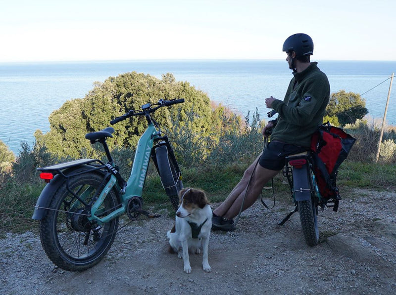 Load image into Gallery viewer, Himiway Zebra D5 ST - Premium All-terrain Electric Fat Bike