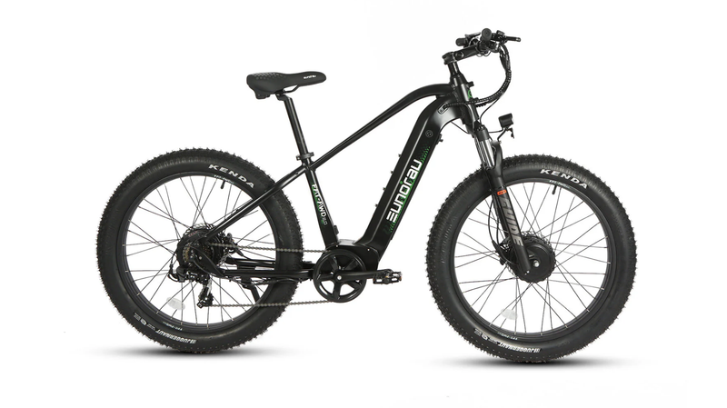 Load image into Gallery viewer, EUNORAU FAT-AWD 2.0 Dual Motor Electric Hunting Bike rear view