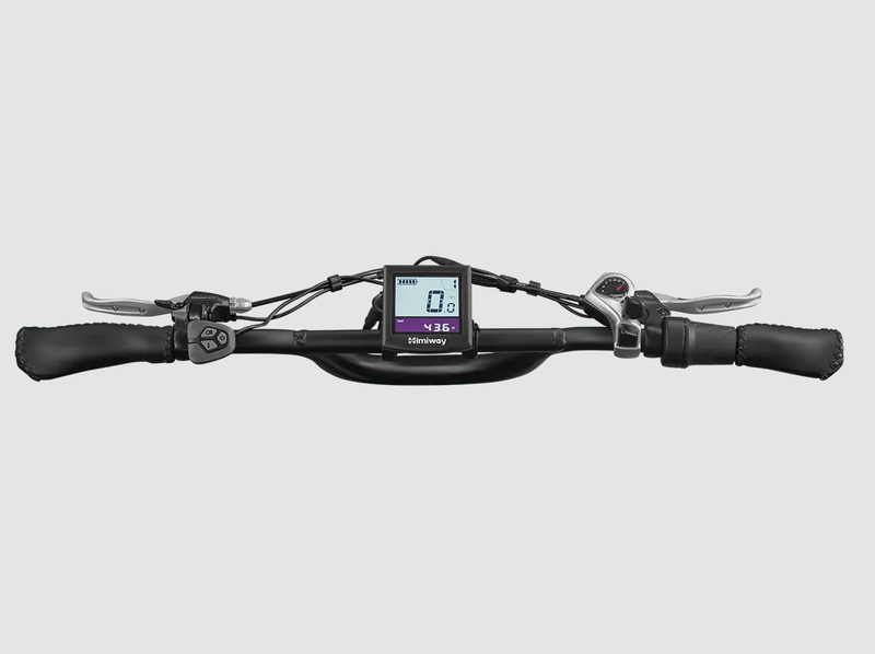 Load image into Gallery viewer, Himiway Escape Pro - Long Range Moped-Style Electric Bike specifications and features