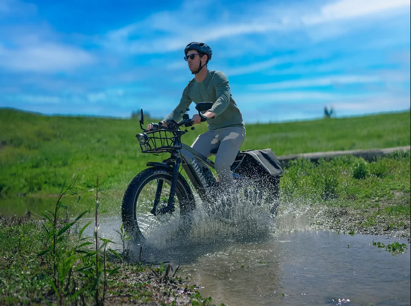 Load image into Gallery viewer, Himiway Zebra D5 - Premium All-terrain Electric Fat Bike