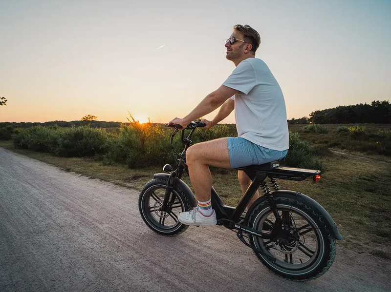 Load image into Gallery viewer, Himiway Escape Pro - Long Range Moped-Style Electric Bike