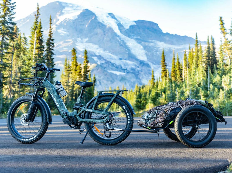Load image into Gallery viewer, Himiway D5 ST 2.0 Full Suspension Electric Bike