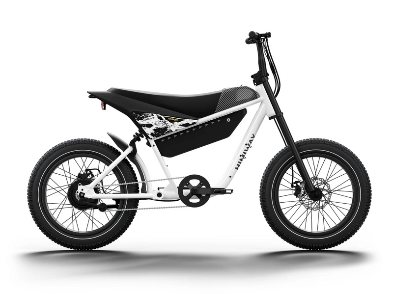 Load image into Gallery viewer, Himiway C5 Sport Electric Motorbike rear view