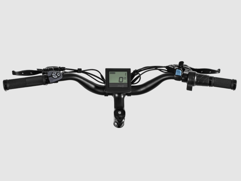 Load image into Gallery viewer, Himiway D3 Cruiser - Long Range Fat Tire Electric Bike detail view