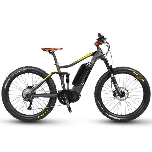 Electric Bike with Fat Tires