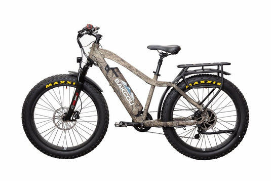 Bakcou Electric Bike Review
