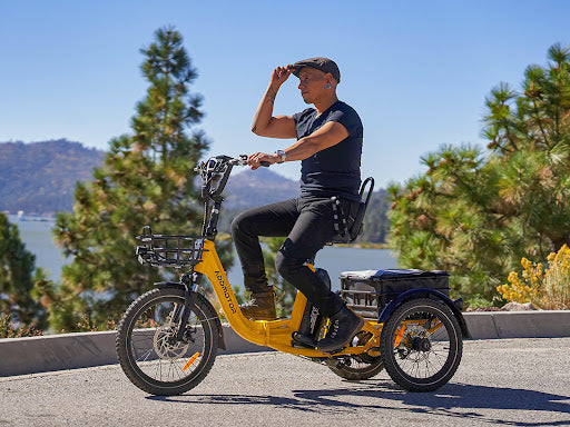 Citytri E-310 Folding Electric Trike: A Top Contender in the E-Trike Market