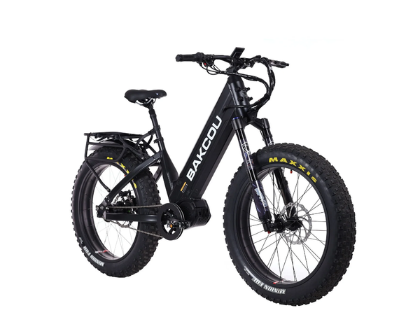 Backcountry hotsell ebikes reviews