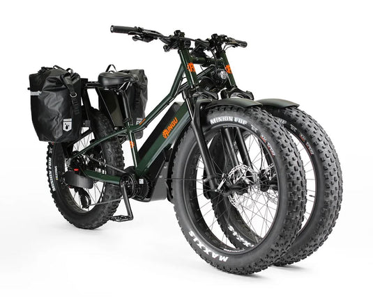 3 wheeled electric bicycle Rungu Dualie Rugged Sitka Spruce +$399 No Ball Hitch