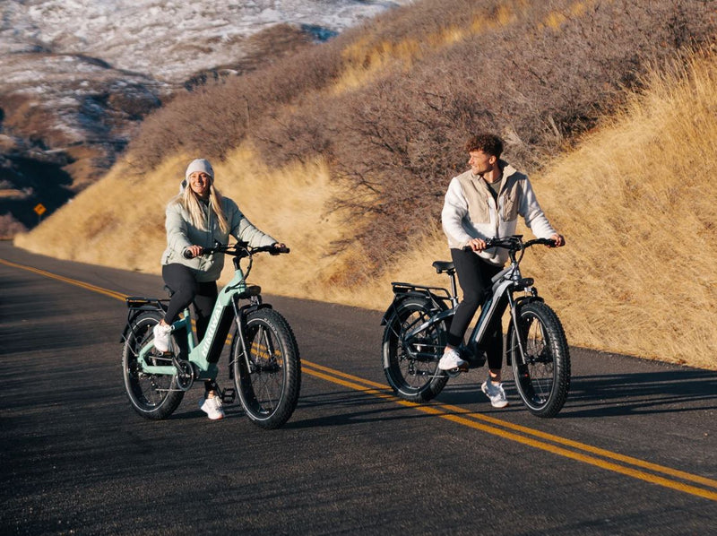 Load image into Gallery viewer, Himiway Zebra D5 ST - Premium All-terrain Electric Fat Bike
