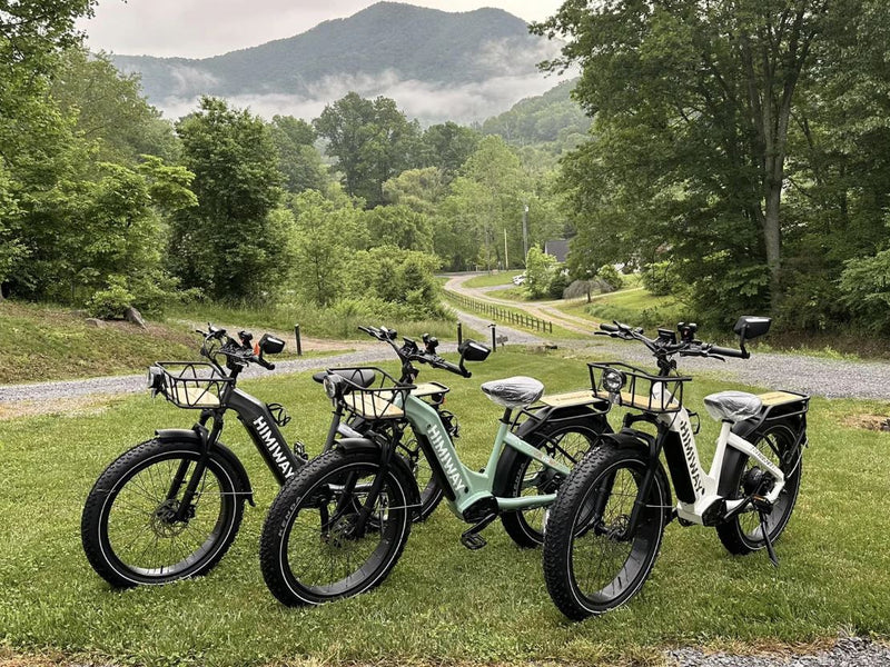 Load image into Gallery viewer, Himiway Zebra D5 ST - Premium All-terrain Electric Fat Bike
