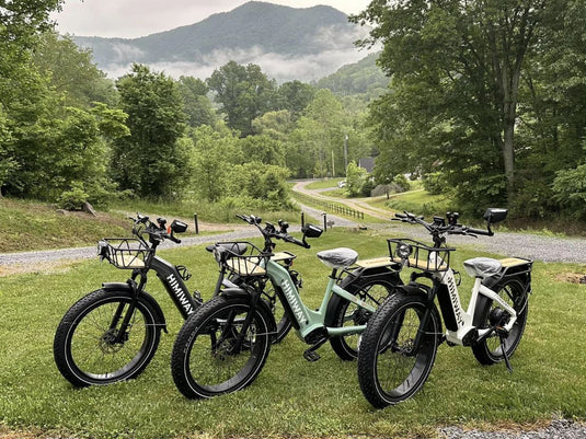 Himiway Zebra D5 ST - Premium All-terrain Electric Fat Bike