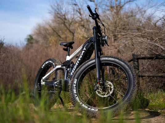 Himiway D7 PRO Full Suspension Electric Mountain Bike