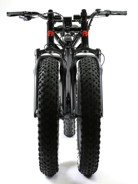 cube fat e bike Rungu Dualie Standard