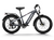 Himiway Zebra D5 - Premium All-terrain Electric Fat Bike