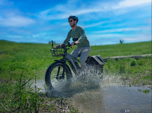 Himiway Zebra D5 - Premium All-terrain Electric Fat Bike