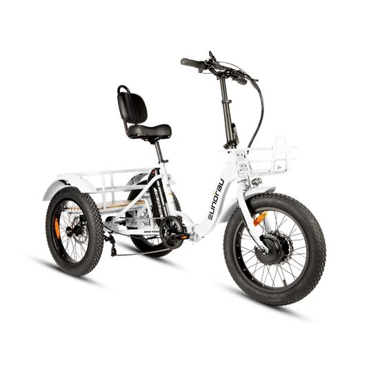 EUNORAU New-Trike 2.0 Folding Electric Trike