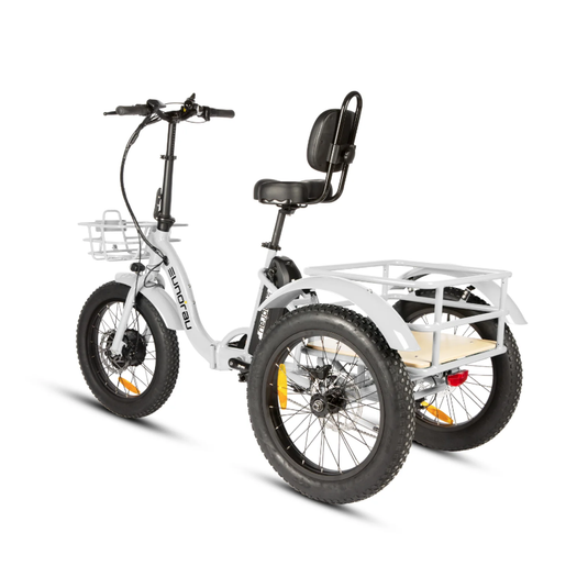 EUNORAU New-Trike 2.0 Folding Electric Trike