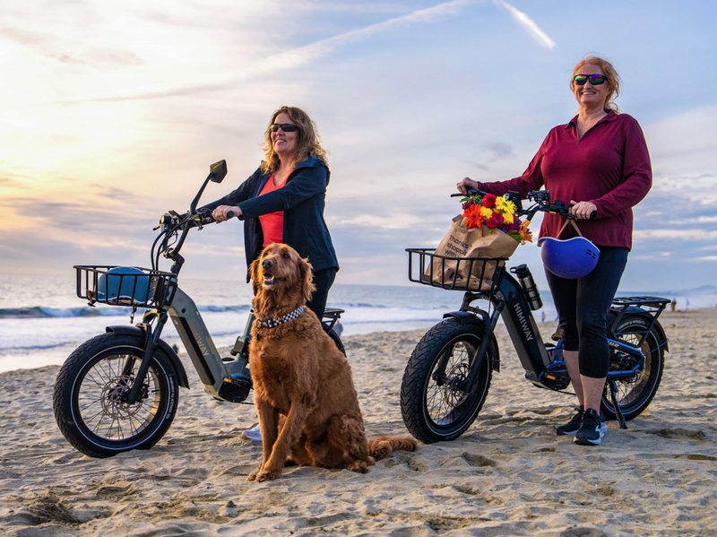 Load image into Gallery viewer, Himiway D5 2.0 20" Electric Bike
