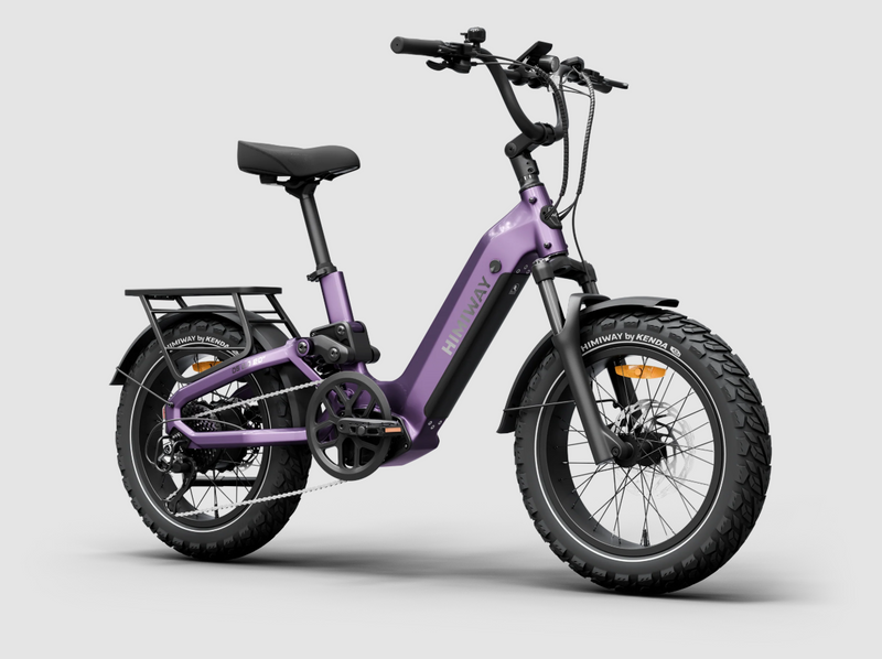 Load image into Gallery viewer, Himiway D5 2.0 20" Electric Bike
