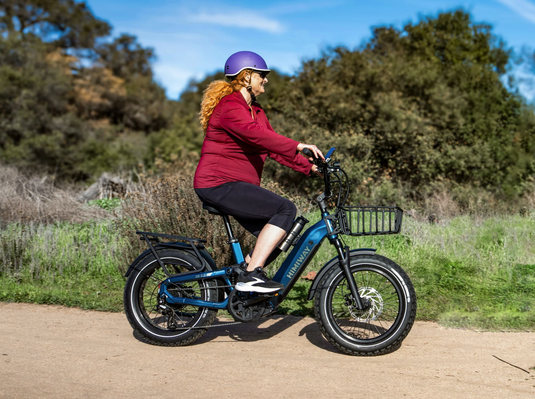 Himiway D5 2.0 20" Electric Bike