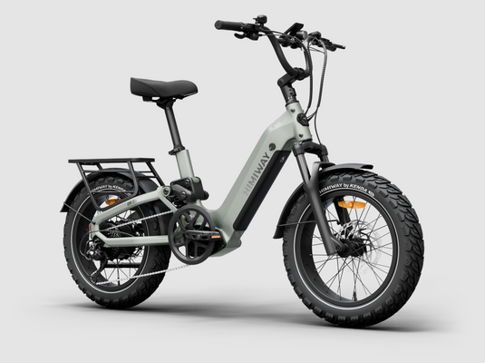 Himiway D5 2.0 20" Electric Bike