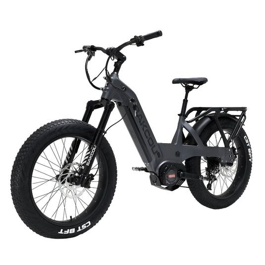 BAKCOU Mule SD Electric Hunting Bike