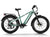 Himiway Zebra - Premium All-terrain Electric Fat Bike