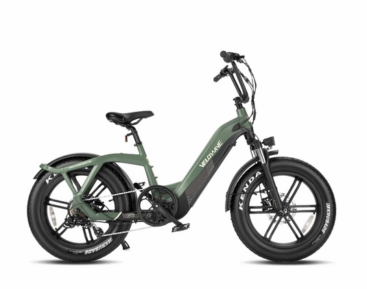 green electric bicycle Fiido T2 Cargo Bike: 440 lbs Payload, 85 Miles Long Range Durable Frame Top Viribus Adult Electric Bikes