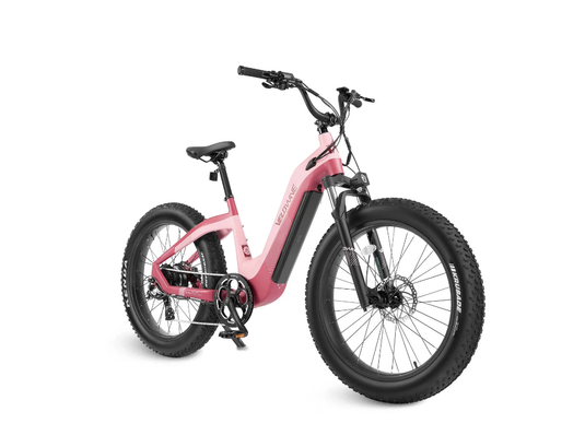 grace electric bicycle 2.0 Step-Thru Bike A collection of all comfortable elements such as a step Beautiful, Smooth & Cool -