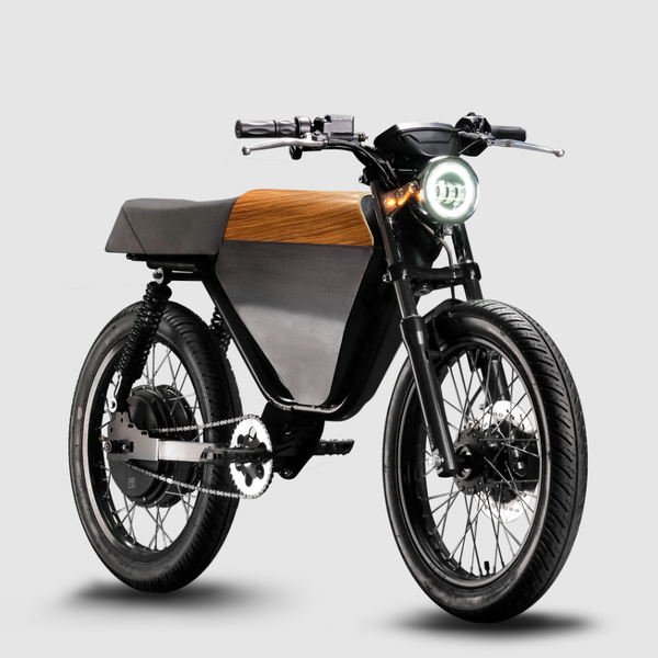 rcr electric bike